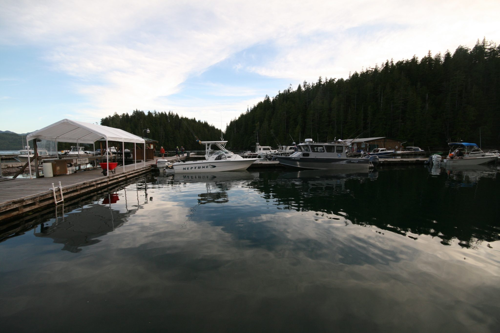 Moorage, Critter Cove, Nootka Sound, BC Critter Cove