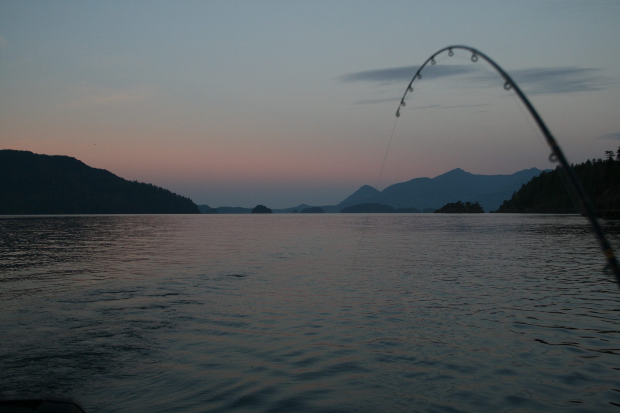 to Critter Cove Fishing Resort, Nootka Sound, BC