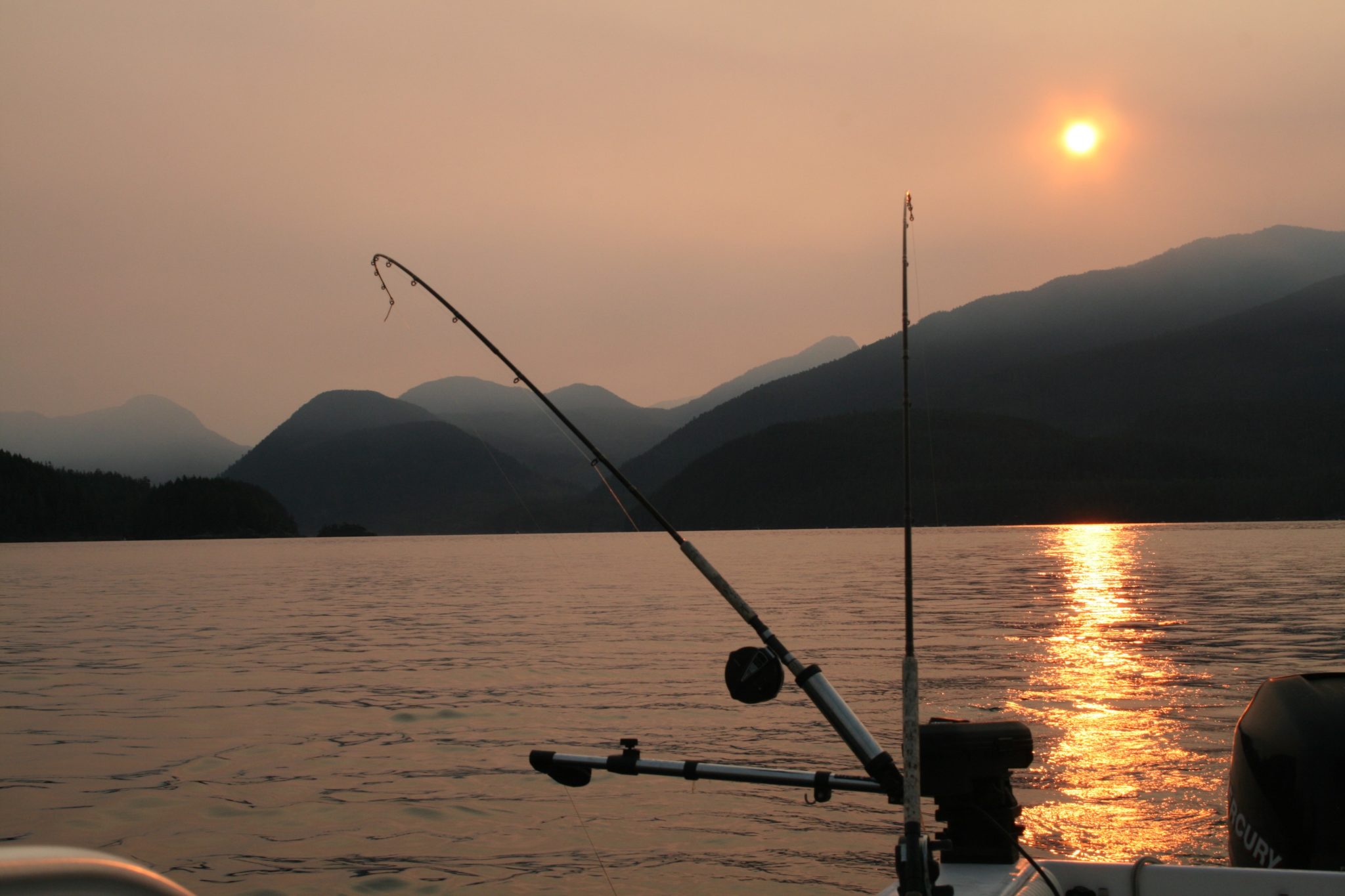 Contact us at Critter Cove, Nootka Sound, BC Critter Cove