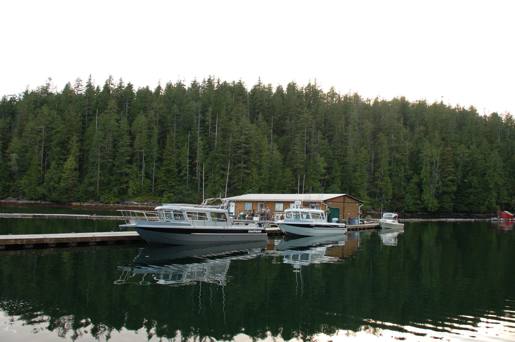 Suite, Critter Cove, Nootka Sound, BC Critter Cove